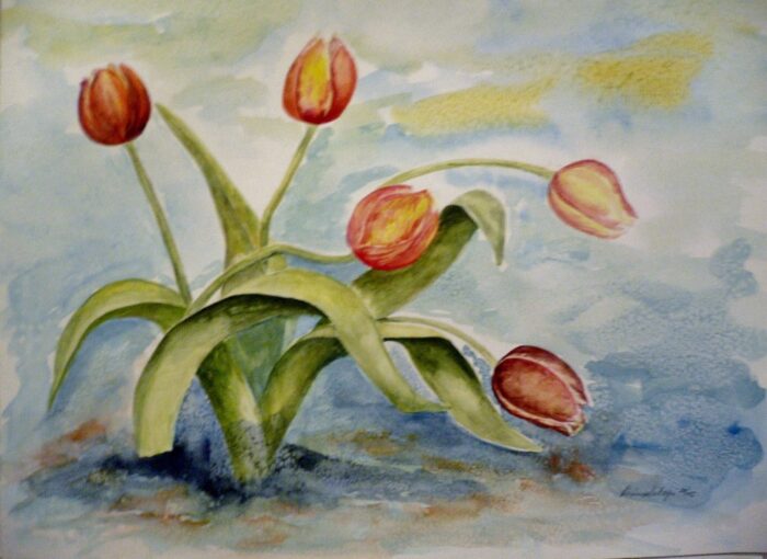 Tulips on Ice - Karin Delagi