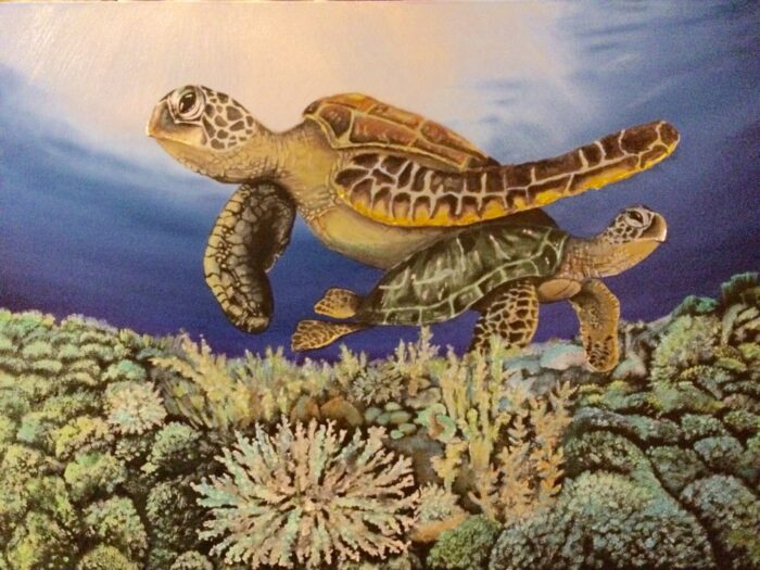 Turtle Reef - Mitch Gubnitsky