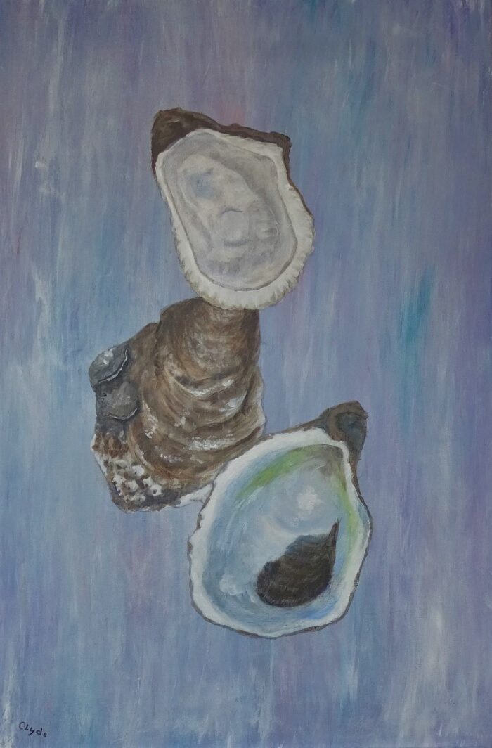 Oysters - Clyde Mann