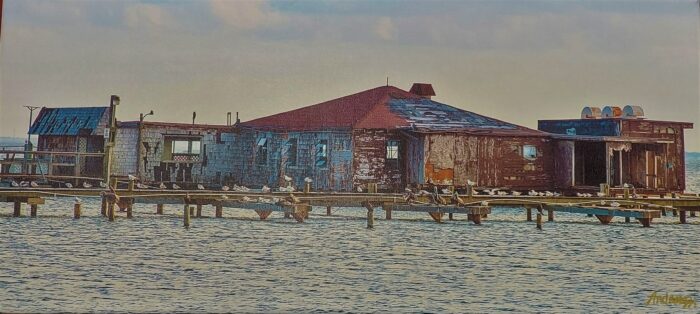Abandoned - John Andreozzi