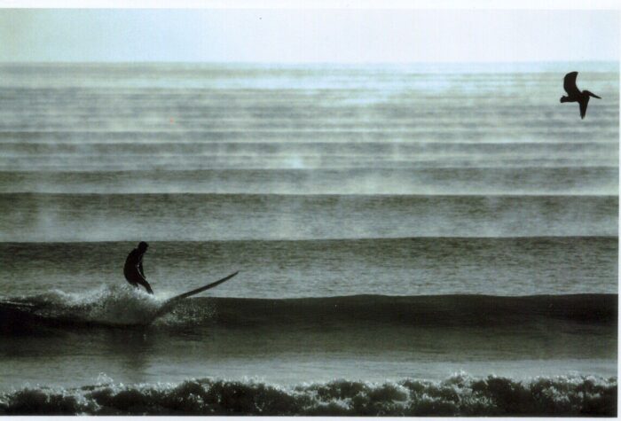 Morning Lines - John Andreozzi